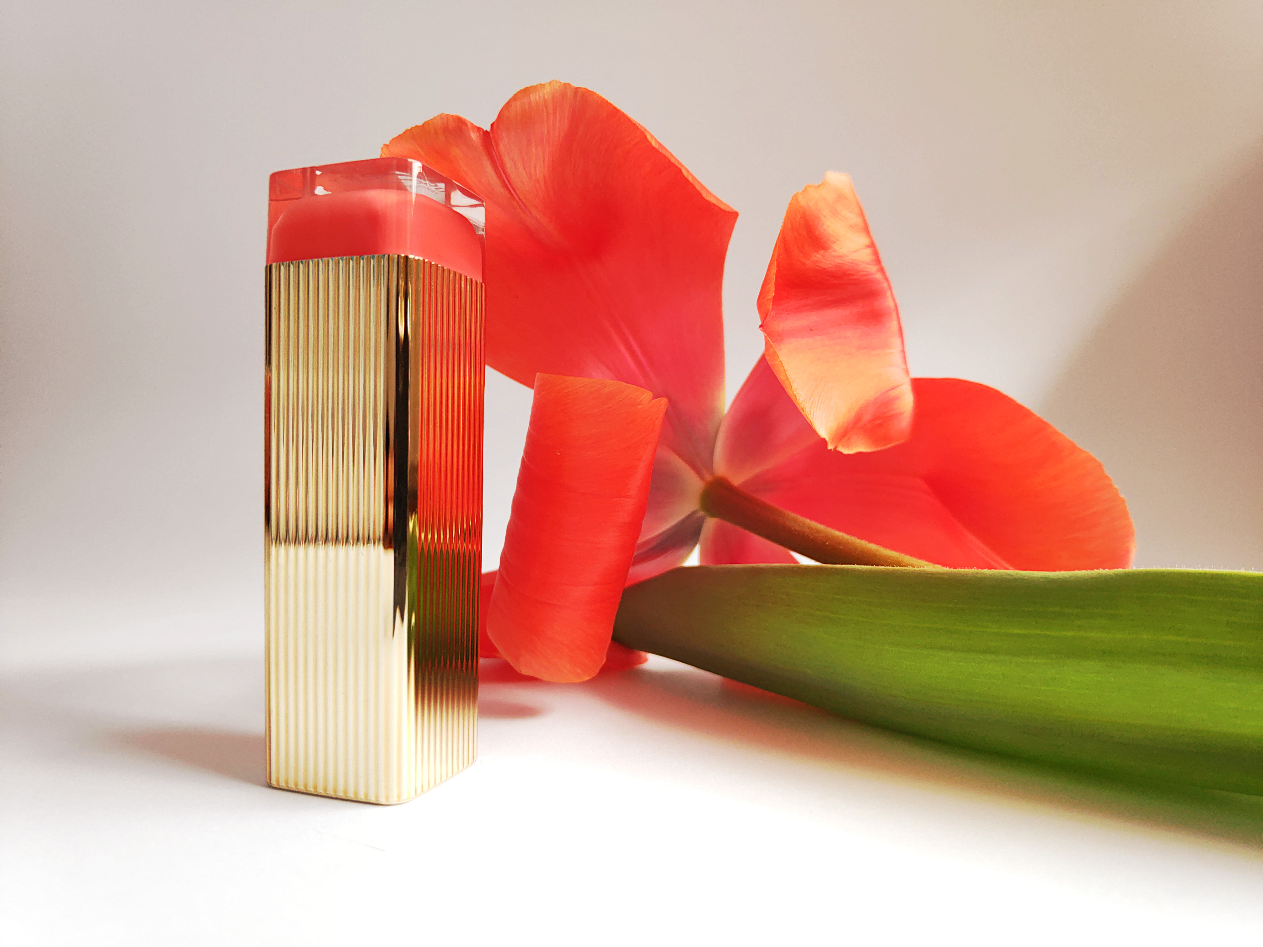 Golden packaging of Max Factor Colour Elixir Lipstick in 050 Pink Brandy with closed cap, next to the red tulip with completely opened and curly petals.